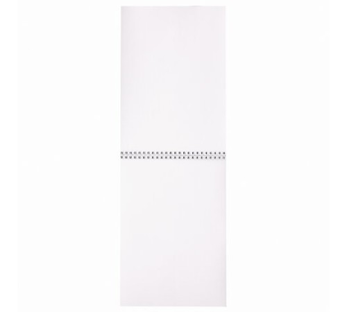 Альбом для рисования, А4, 40 листов, гребень, выборочный лак, подложка, 120 г/м2, BRAUBERG, 205х290 мм, 