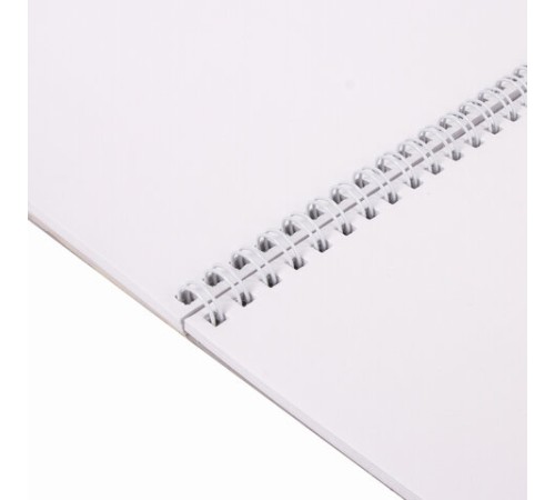 Альбом для рисования, А4, 40 листов, гребень, выборочный лак, подложка, 120 г/м2, BRAUBERG, 205х290 мм, 