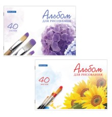 Альбом для рисования, А4, 40 листов, скоба, обложка картон, BRAUBERG, 200х283 мм, 