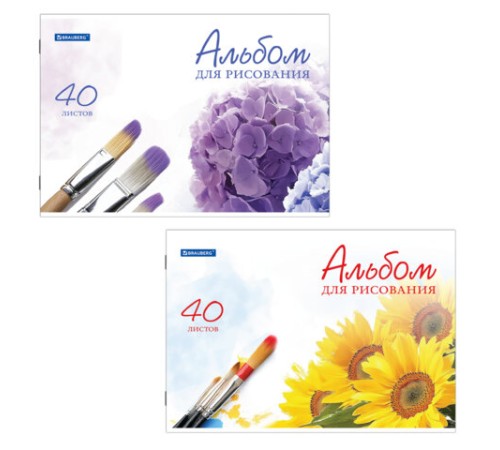 Альбом для рисования, А4, 40 листов, скоба, обложка картон, BRAUBERG, 200х283 мм, 