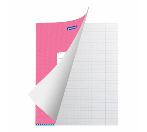 Тетрадь 12 л. BRAUBERG, клетка, обложка картон, ТОЧКИ, 103023