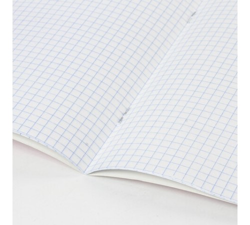 Тетрадь 12 л. BRAUBERG, клетка, обложка картон, ТОЧКИ, 103023