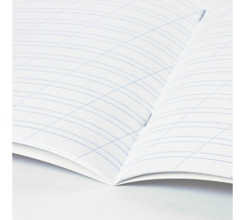 Тетрадь 12 л. BRAUBERG, косая линия, обложка картон, ТОЧКИ, 103033