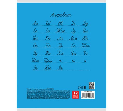 Тетрадь 12 л. BRAUBERG КЛАССИКА, косая линия, обложка картон, АССОРТИ (5 видов), 103276