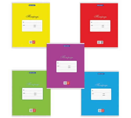 Тетрадь 12 л. BRAUBERG КЛАССИКА, частая косая линия, обложка картон, АССОРТИ (5 видов), 103278