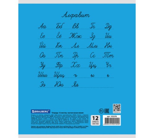Тетрадь 12 л. BRAUBERG КЛАССИКА, частая косая линия, обложка картон, АССОРТИ (5 видов), 103278