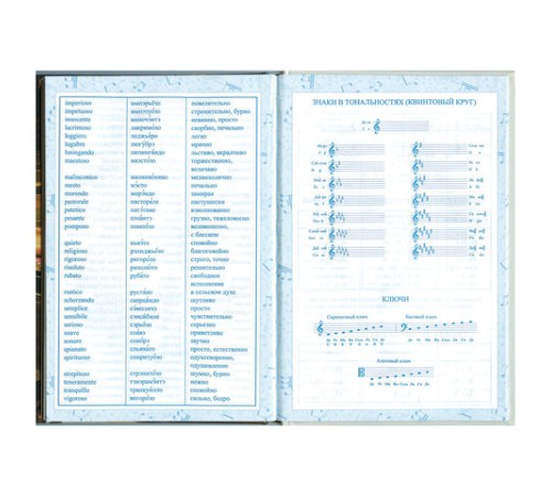 Дневник для музыкальной школы 140х210 мм, 48 л., твердый, BRAUBERG, справочный материал, 
