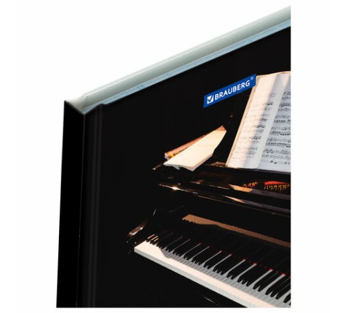 Дневник для музыкальной школы 140х210 мм, 48 л., твердый, BRAUBERG, справочный материал, 