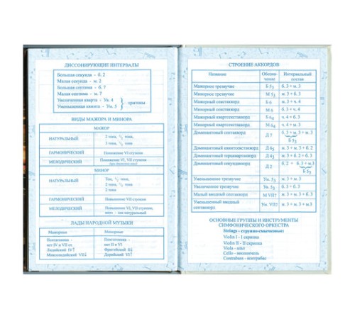 Дневник для музыкальной школы 140х210 мм, 48 л., твердый, BRAUBERG, справочный материал, 