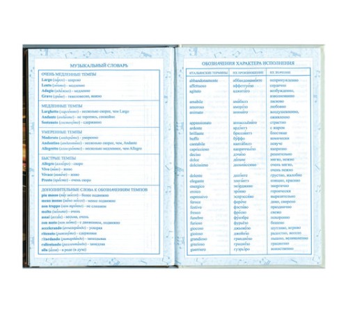 Дневник для музыкальной школы 140х210 мм, 48 л., твердый, BRAUBERG, справочный материал, 