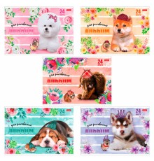 Альбом для рисования, А4, 24 листа, скоба, обложка картон, HATBER, 205х290 мм, 