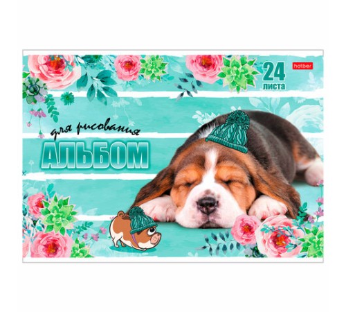 Альбом для рисования, А4, 24 листа, скоба, обложка картон, HATBER, 205х290 мм, 