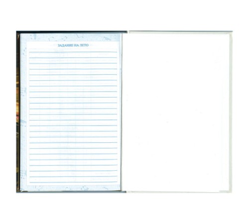 Дневник для музыкальной школы 140х210 мм, 48 л., твердый, BRAUBERG, выборочный лак, справочный материал, 