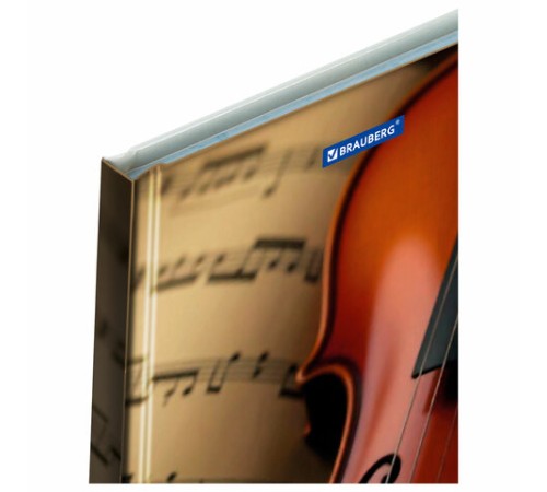 Дневник для музыкальной школы 140х210 мм, 48 л., твердый, BRAUBERG, выборочный лак, справочный материал, 