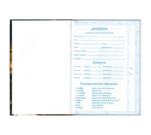 Дневник для музыкальной школы 140х210 мм, 48 л., твердый, BRAUBERG, выборочный лак, справочный материал, 