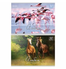 Альбом для рисования, А4, 32 листа, скоба, обложка картон, BRAUBERG, 200х283 мм, 