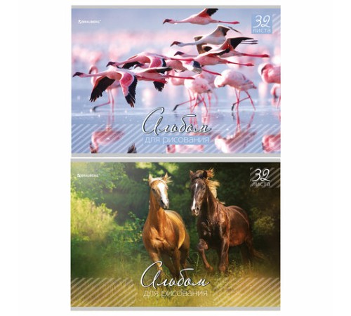 Альбом для рисования, А4, 32 листа, скоба, обложка картон, BRAUBERG, 200х283 мм, 