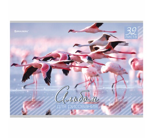 Альбом для рисования, А4, 32 листа, скоба, обложка картон, BRAUBERG, 200х283 мм, 