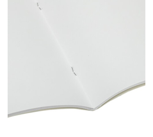 Альбом для рисования, А4, 32 листа, скоба, обложка картон, BRAUBERG, 200х283 мм, 