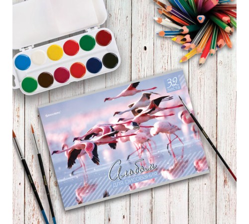 Альбом для рисования, А4, 32 листа, скоба, обложка картон, BRAUBERG, 200х283 мм, 