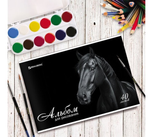 Альбом для рисования, А4, 40 листов, скоба, обложка картон, BRAUBERG, 200х283 мм, 