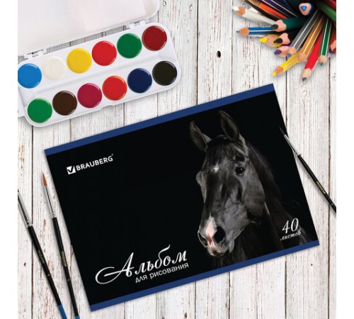 Альбом для рисования, А4, 40 листов, скоба, обложка картон, BRAUBERG, 200х283 мм, 