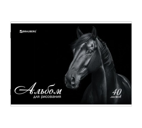 Альбом для рисования, А4, 40 листов, скоба, обложка картон, BRAUBERG, 200х283 мм, 