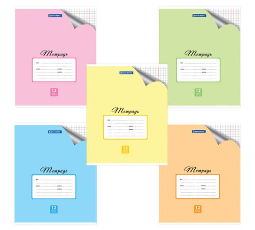 Тетрадь 12 л. BRAUBERG 