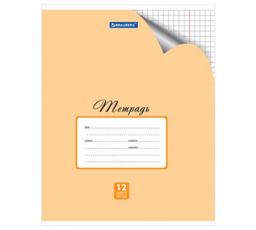 Тетрадь 12 л. BRAUBERG 