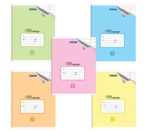 Тетрадь 12 л. BRAUBERG 