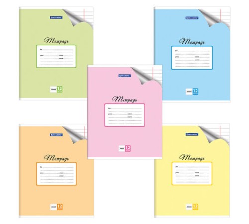 Тетрадь 12 л. BRAUBERG 