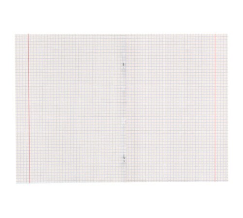 Тетрадь 18 л., ПИФАГОР, клетка, офсет №2 ЭКОНОМ, обложка картон 170 г/м2, ОДНОТОННАЯ, 104549