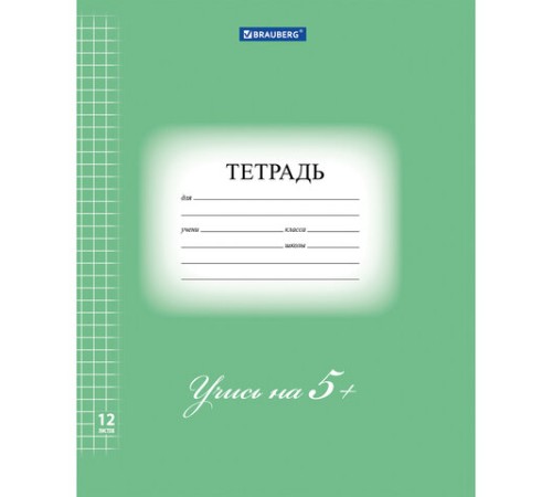 Тетрадь 12 л. BRAUBERG ЭКО 