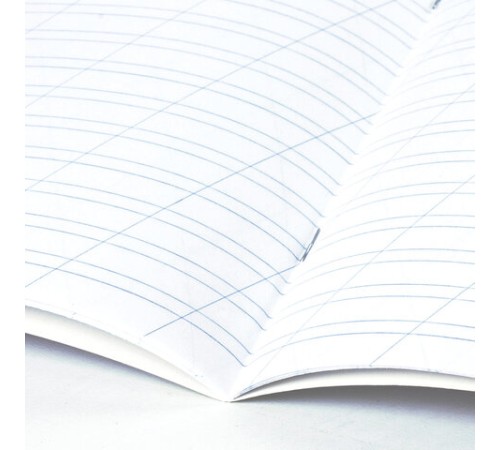 Тетрадь 12 л. BRAUBERG ЭКО 