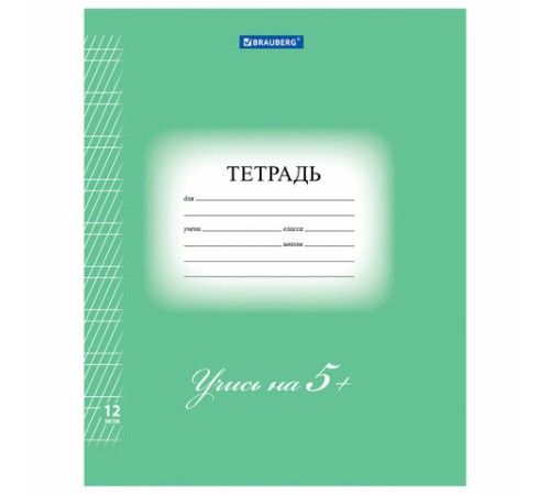 Тетрадь 12 л. BRAUBERG ЭКО 