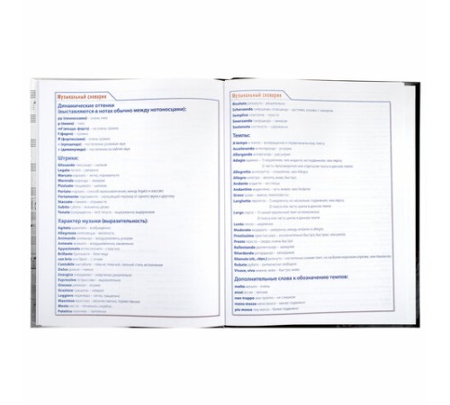 Дневник для музыкальной школы твердый, 48 л., HATBER 