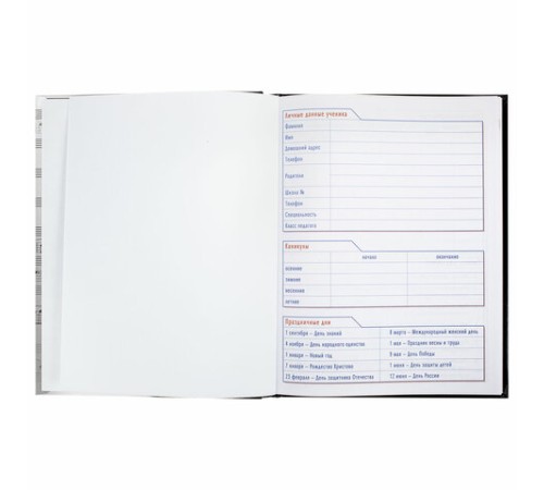 Дневник для музыкальной школы твердый, 48 л., HATBER 