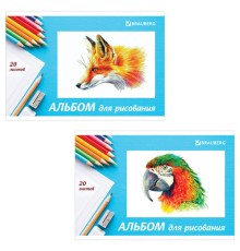 Альбом для рисования, А4, 20 л., скоба, обложка картон, BRAUBERG, 200х283 мм, 