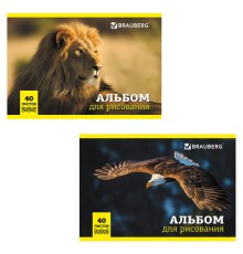 Альбом для рисования, А4, 40 л., скоба, обложка картон, BRAUBERG, 200х283 мм, 
