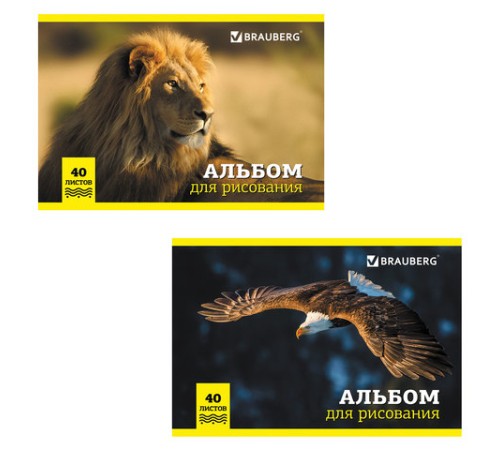 Альбом для рисования, А4, 40 л., скоба, обложка картон, BRAUBERG, 200х283 мм, 