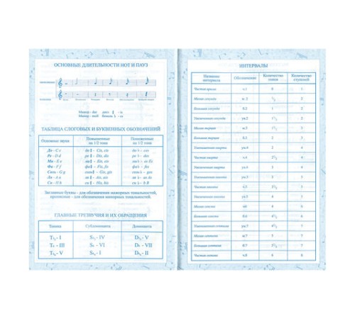 Дневник для музыкальной школы 140х210 мм, 48 л., твердый, BRAUBERG, справочный материал, 