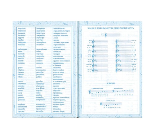 Дневник для музыкальной школы 140х210 мм, 48 л., твердый, BRAUBERG, выборочный лак, справочный материал, 