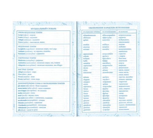Дневник для музыкальной школы 140х210 мм, 48 л., твердый, BRAUBERG, выборочный лак, справочный материал, 