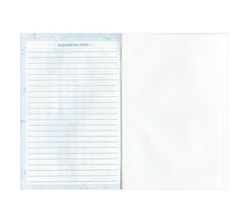 Дневник для музыкальной школы 140х210 мм, 48 л., твердый, BRAUBERG, выборочный лак, справочный материал, 