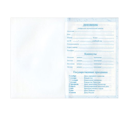 Дневник для музыкальной школы 140х210 мм, 48 л., твердый, BRAUBERG, выборочный лак, справочный материал, 