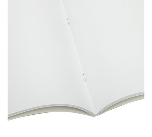 Альбом для рисования А4 40 листов, скоба, глянцевый лак, BRAUBERG, 202х285 мм, 