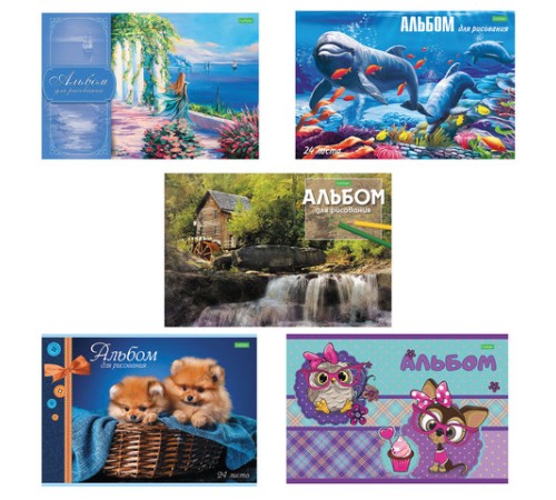 Альбом для рисования, А4, 24 листа, скоба, обложка офсет, HATBER ECO, 205х290 мм, Ассорти, 058404, 24А4C