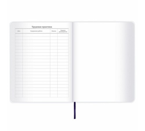 Дневник 1-11 класс 48 л., кожзам (гибкая), термотиснение, BRAUBERG 