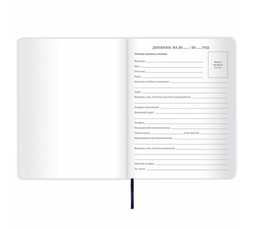 Дневник 1-11 класс 48 л., кожзам (гибкая), термотиснение, BRAUBERG 
