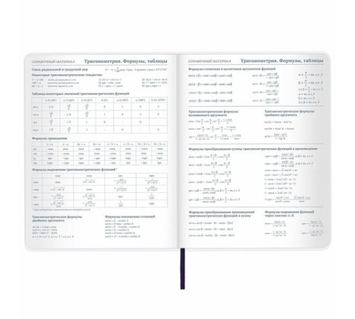 Дневник 1-11 класс 48 л., кожзам (гибкая), термотиснение, BRAUBERG 